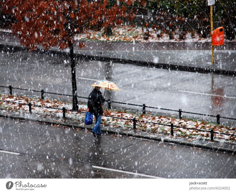 Crossing a road with structural separation in winter daytime Pedestrian Traffic infrastructure Human being Going Street Traverse False Bird's-eye view