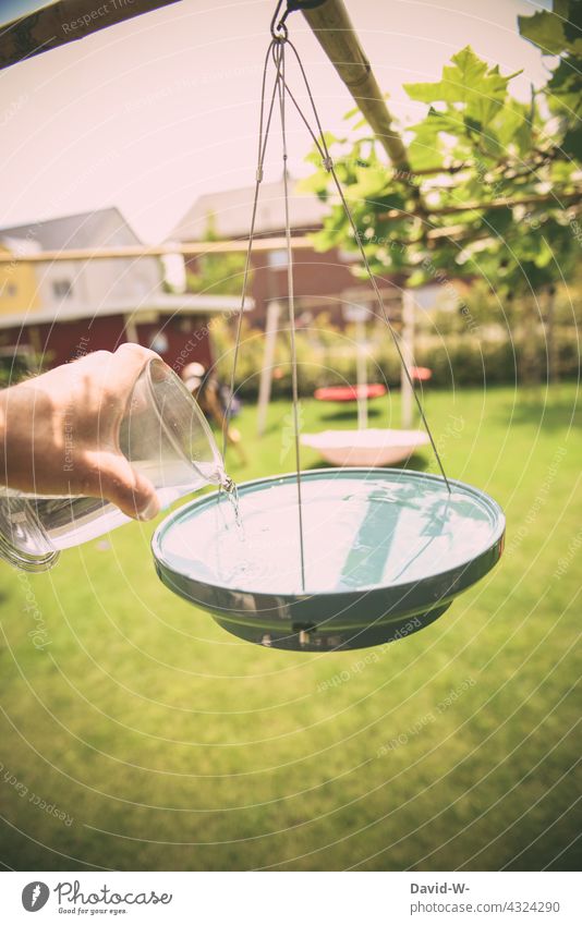 Fill bird bath with water in summer Bird watering place Water birds Animal lover Summer ardor water bowl Refreshment Garden Hand Man