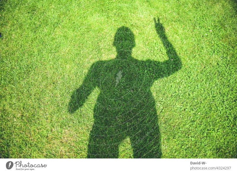 Shadow of a man with peace sign Fingers Peace concept creatively Reconciliation Easygoing Green Sustainability Nature Eco-friendly