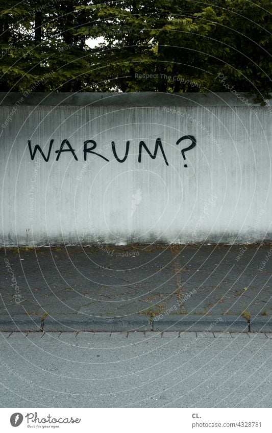 why? question Ask Question mark Why Wall (building) Characters Perplexed Puzzle Irritation communication Meaning Curiosity Letters (alphabet) Doubt