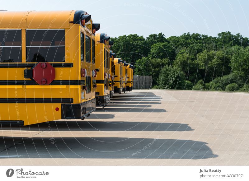 Line of yellow school buses in a parking lot; long shadows cast on the pavement and lush green trees in background back to school waiting outdoors nature