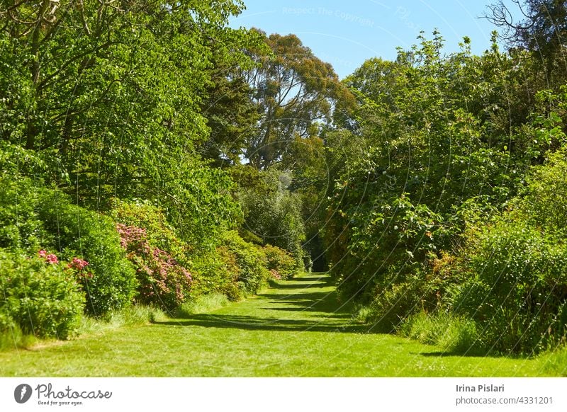 The landscaped Avoca Garden at a county Wicklow, Ireland. avoca background beautiful blooming blossom bright bush color colorful day design environment flora