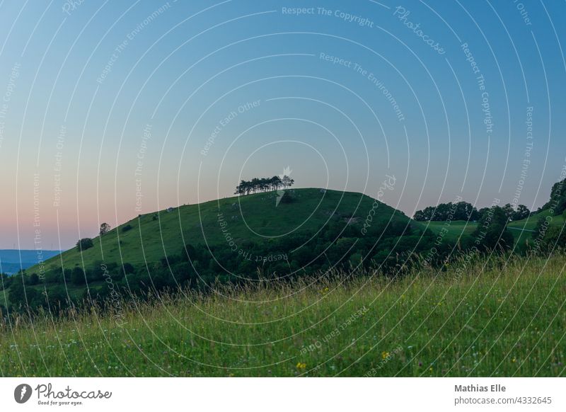 Single trees on a small hill in the Swabian Alb Hill Evening Dusk Evening sun evening mood evening light sunset evening sky blue hour Blue sky Meadow