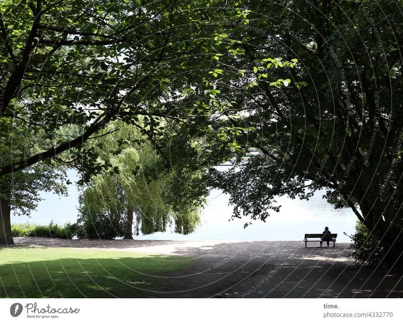 ParkTourHH21 | Bank am See Bench bench Woman on one's own Tree trees Lonely Peaceful Doomed Relaxation recover Break Tabloid Meadow off Water tranquillity Lake