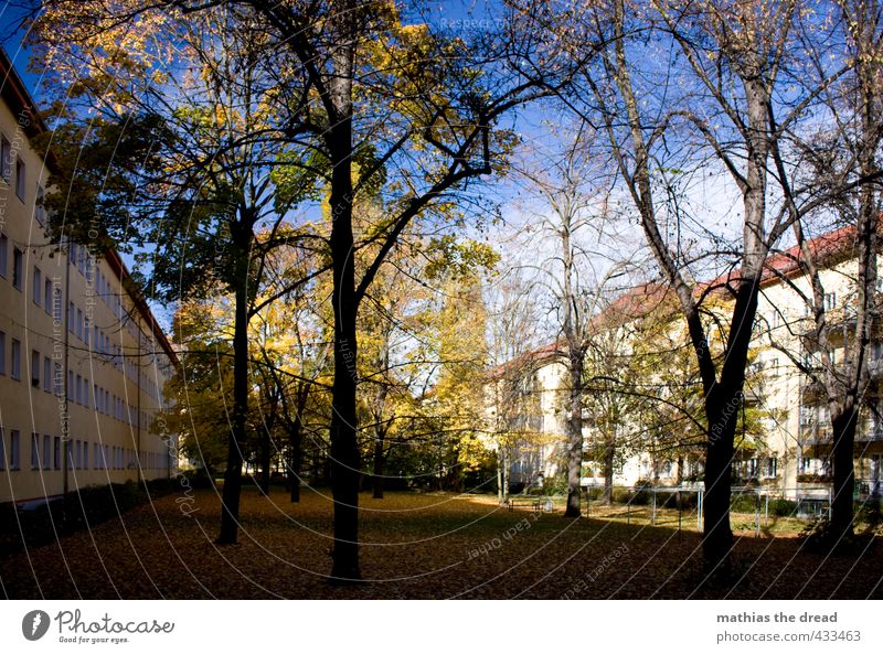 inner courtyard Environment Nature Sky Clouds Autumn Beautiful weather Plant Tree House (Residential Structure) Manmade structures Building Architecture