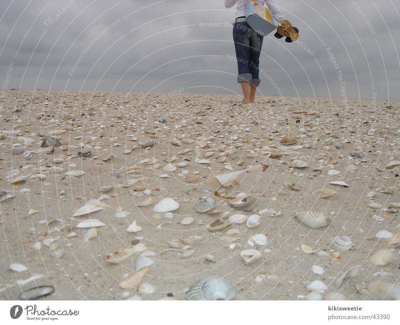 Beach Amrum Mussel Summer Clouds Europe North Sea To go for a walk Nature Far-off places