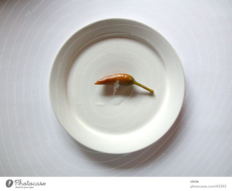 lonely breakfast Plate Cooking Pepper White Minimal Cold Nutrition Red Chili Simple Banquet pepperoni Drops of water Tangy Water Bright background