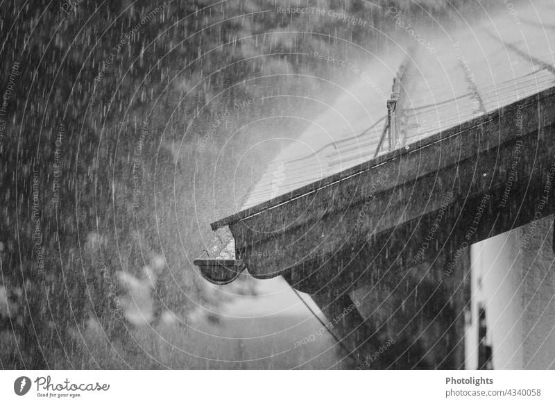 Rain pelting the roof of the house Gale crackle rain Roof Roofing tile brick black-and-white House (Residential Structure) Exterior shot Building Architecture