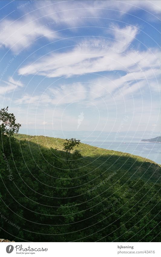 hilltop Sky Mountain croatia tree cloud grass holiday