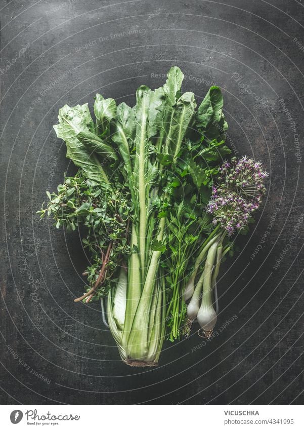 Bunch of various fresh green herbs on dark background. Top view bunch top view nature assorted medicine leaves seasoning aromatic leaf vegetarian ingredient