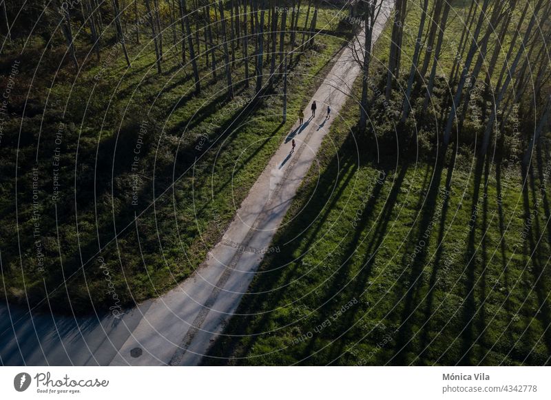 Four pilgrims walking among trees on the stage from Padrón to Santiago de Compostela. Portuguese Camino de Santiago as it passes through the town of Tarrío, A Esclavitude, A coruña