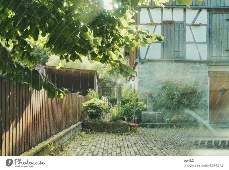 Somewhere in Upper Franconia Courtyard Fence silent Peaceful Sunlight foliage Laubbeum plants House (Residential Structure) Building Barn half-timbered Window