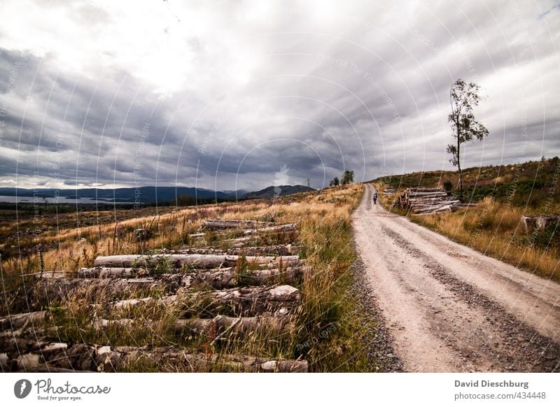 The way is the goal Vacation & Travel Adventure Far-off places Hiking Nature Landscape Clouds Summer Autumn Plant Grass Hill Lanes & trails Blue Brown Yellow