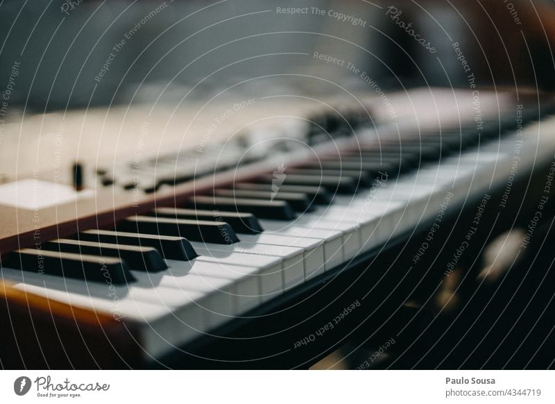 Close up piano keys Piano Pianist Piano keyboard Piano lessons Piano concert Colour photo Playing Art Music Play piano Concert Keyboard Musician