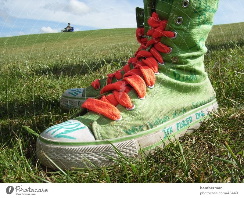 chucks and opa peter Chucks Meadow Macro (Extreme close-up) Close-up Lawn Sneakers Exterior shot Casual shoe Shoelace