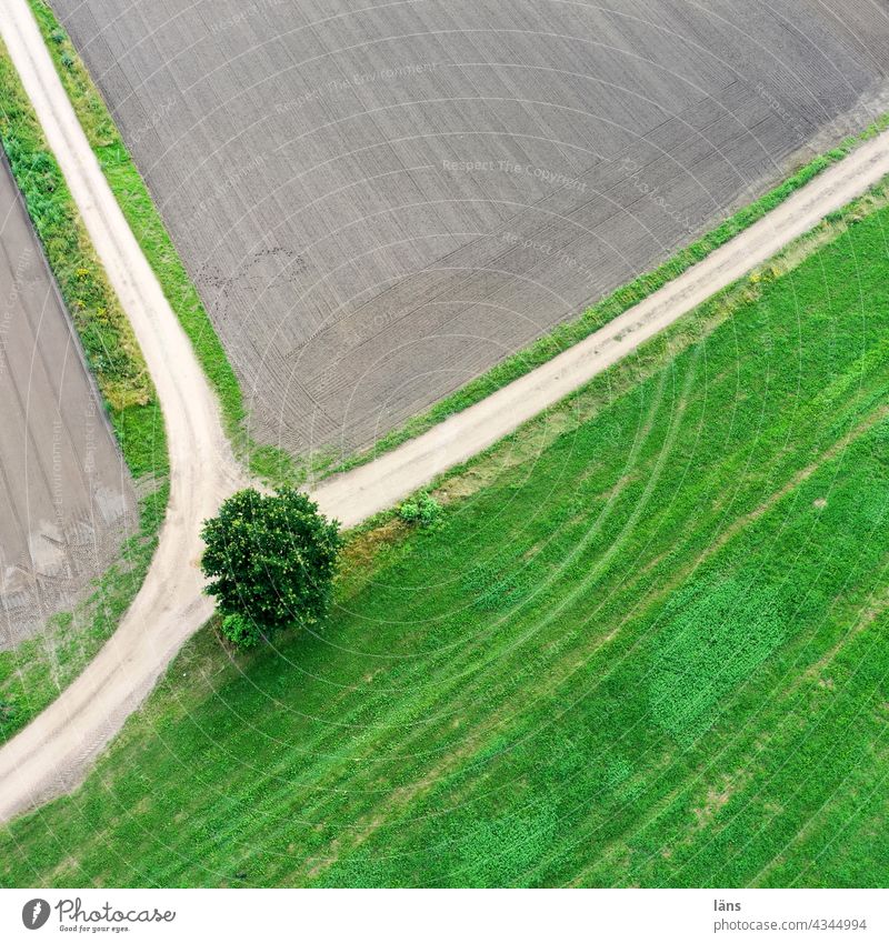 where to go I life paths ways fork Decide Agriculture Field Meadow Lifestyles Deserted Whereto Change in direction Lanes & trails Direction groundbreaking