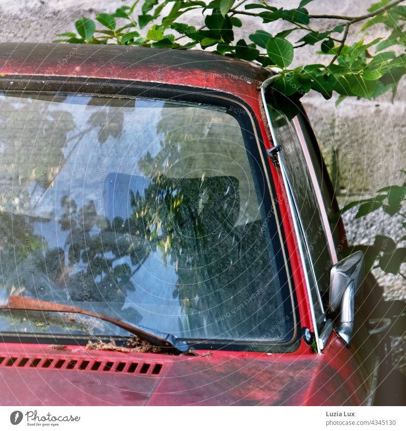 Close-up inside an old car through the window, lights and reflections decay Old Destruction Ravages of time dilapidated Gloomy sad once upon a time Decline