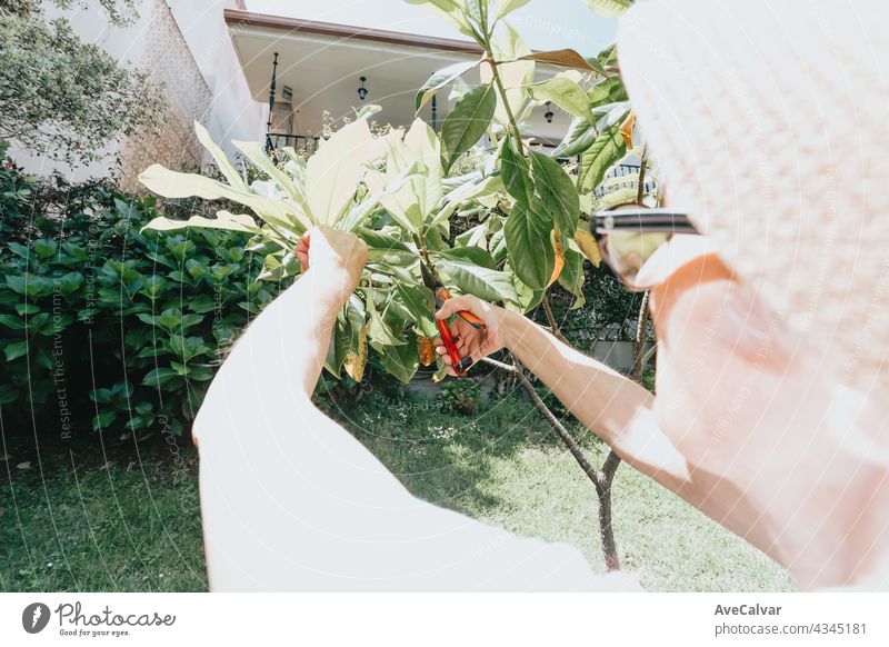 gardening and people concept - happy senior woman planting flowers at summer garden care holding beginning environmental grow growth human life dirt young