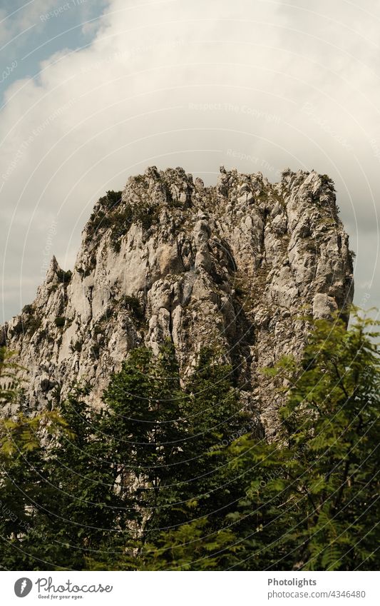 Rock in the area of the Kampenwand in Chiemgau mountain Peak Forest trees Valley Looking Landscape Mountain Sky Nature Alps Exterior shot Colour photo Day