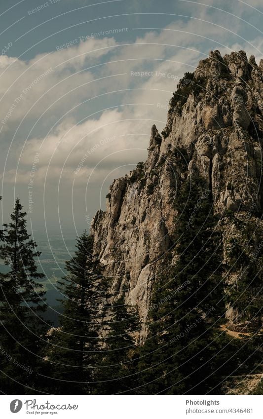 Mountain with lateral view into the valley mountain Peak Forest trees Valley Looking Landscape Sky Nature Alps Rock Exterior shot Colour photo Day Clouds Hiking