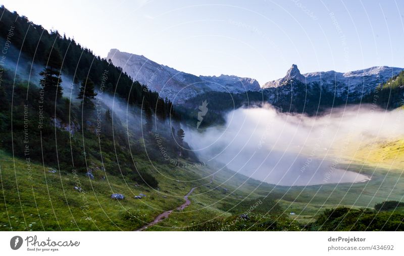 Funtensee in the morning mist at Könnigsse Hiking Environment Nature Landscape Plant Elements Cloudless sky Sunrise Sunset Summer Climate Beautiful weather Fog