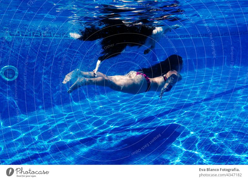 caucasian woman and border collie dog swimming in pool. underwater view. Summer time and vacation concept swimming pool diving together fun summer love owner