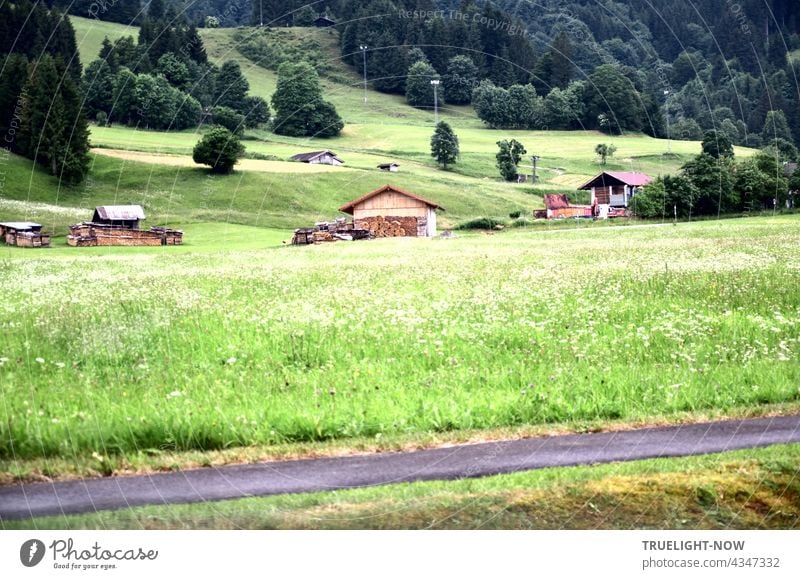 A few wooden huts and many bushes and trees are standing around on a hilly green meadow landscape in the nature park Ammergau Alps in Upper Bavaria and a piece of bicycle path can be seen as well.