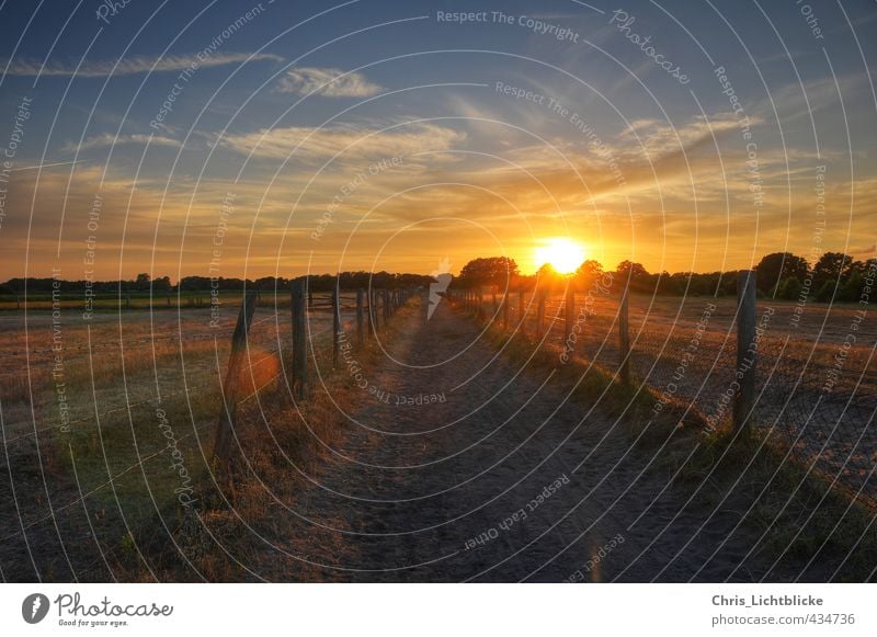 Beach access to the Baltic Sea Nature Landscape Earth Sand Sky Sun Sunrise Sunset Summer Field Relaxation Colour photo Deserted Evening