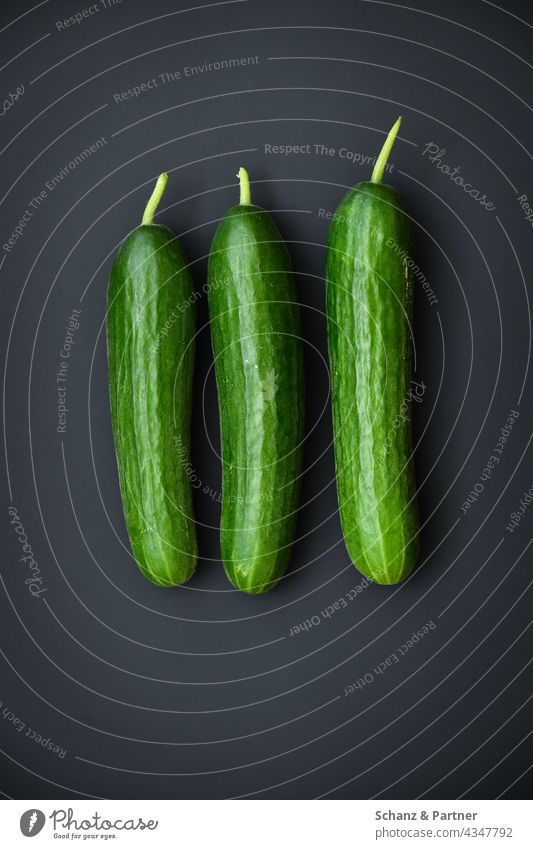 three cucumbers Cucumber Cucumbers organic Food Nutrition Healthy Eating Food photograph Vegetarian diet Vegetable Vegan diet Isolated Image plain background