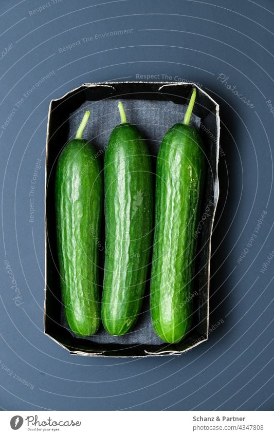 three cucumbers in cardboard packaging Cucumber Cucumbers organic Food Nutrition Healthy Eating Food photograph Vegetarian diet Vegetable Vegan diet