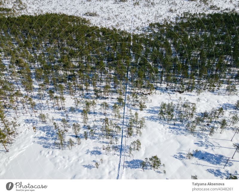 Aerial view to winter bog and forest snow swamp marsh aerial hiking estonia trail cold nature landscape tree outdoor weather snowy environment season travel