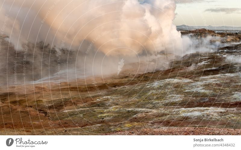 Steam clouds above the ground - Seltún geothermal area on Reykjanes, Iceland Volcano steam ardor Hot smoke Volcanic Sulphur Water seething Smelly Hell Landscape