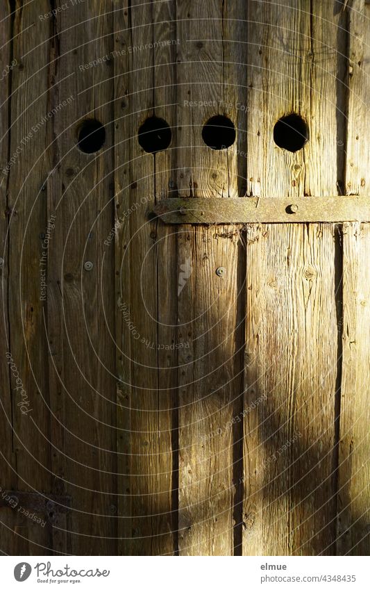 old wooden door of a natural cellar with four round ventilation holes, a door bolt and an old door fitting Wooden door Natural cellar Earth cellar storage room