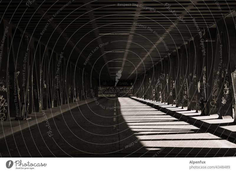 Interspaces |Sunny |Parktour HH 21 Summer Exterior shot Deserted Sunlight Shadow Shadow play Bridge Bridge railing Architecture Light Contrast Day