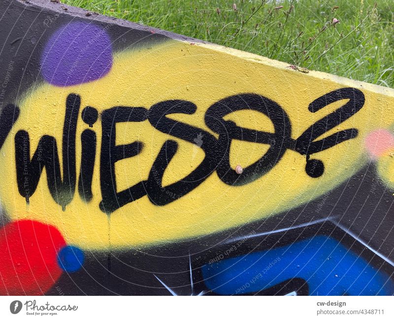 Why - drawn & painted Colour photo Graffiti Wall (building) Sign Exterior shot Youth culture Left Society Deserted Letters (alphabet) Subculture