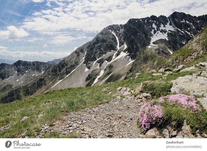 View from Grünangerjoch towards Pfandlspitz, mountain meadow and summit with snowfields in South Tyrol mountains Peak Alps Hiking Mountain meadow Sky Clouds