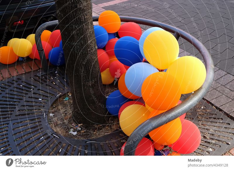 Colourful balloons at the foot of an avenue tree in Berger Straße in front of a shop in the Bornheim district of Frankfurt am Main in the German state of Hesse