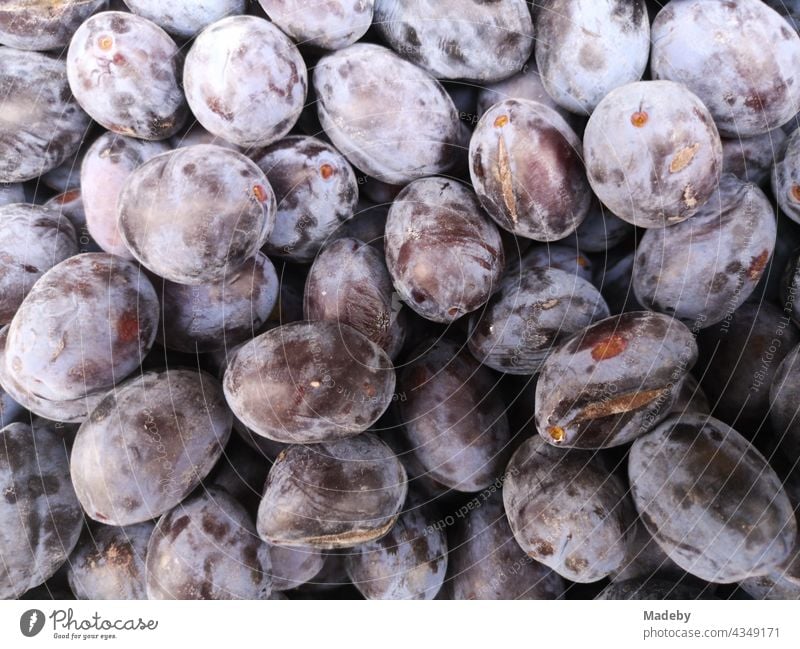 Fresh plums in front of a shop in the main street in the old town of Oerlinghausen near Bielefeld on the Hermannsweg in the Teutoburg Forest in East Westphalia-Lippe