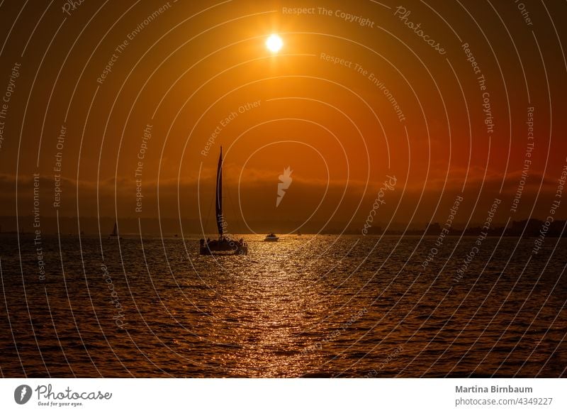 Sunset behind the silhouette of a sailboat catamaran in San Diego san diego pacific evening sunset rigging sky sea dusk sunlight high cloud outdoors