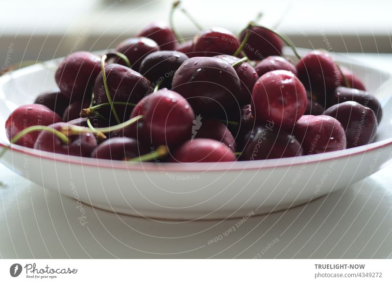 A white plate with a red rim full of red and dark sweet cherries in the heat of this summer day just fresh out of the fridge onto the equally white table. The heat shock forms a fine film of condensation on the fruit