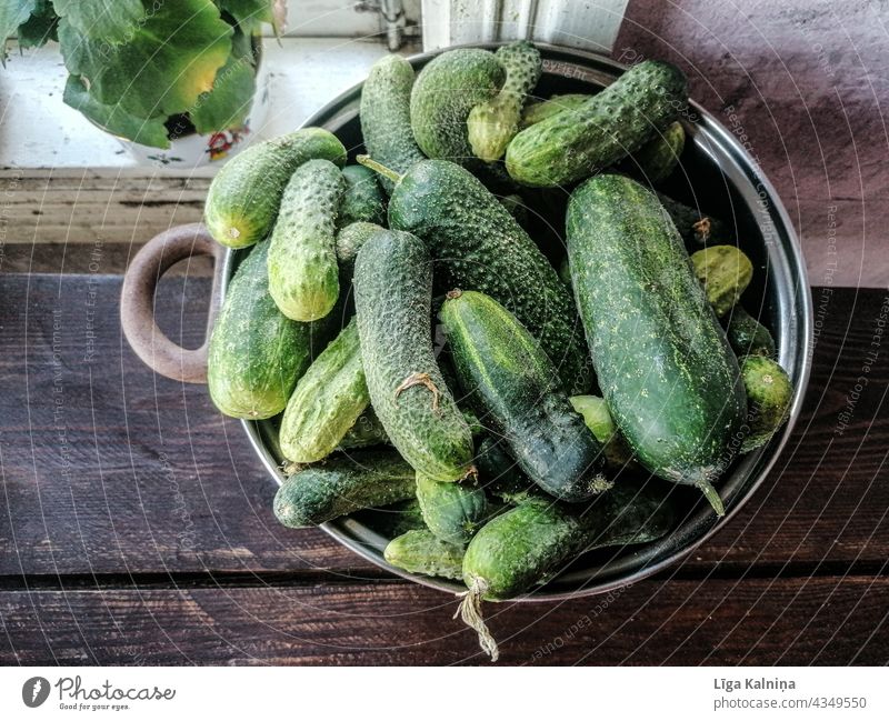 Cucumbers Pickles Vegetables Green green food organic vegetables Organic produce Fresh Healthy Eating Raw vegetables Vegan diet Nutrition Vegetarian diet