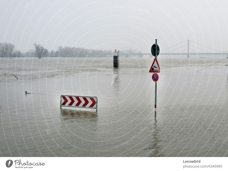 Extreme weather: Flooded parking lot in Düsseldorf, Germany climate climate change disaster düsseldorf extreme weather flood flooded street global warming