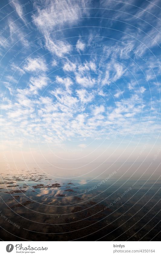 The Baltic Sea, water, sky with dynamic cloud scenery and a losing horizon Nature Climate Water Sky Clouds Ocean Horizon smooth water surface Infinity Elements