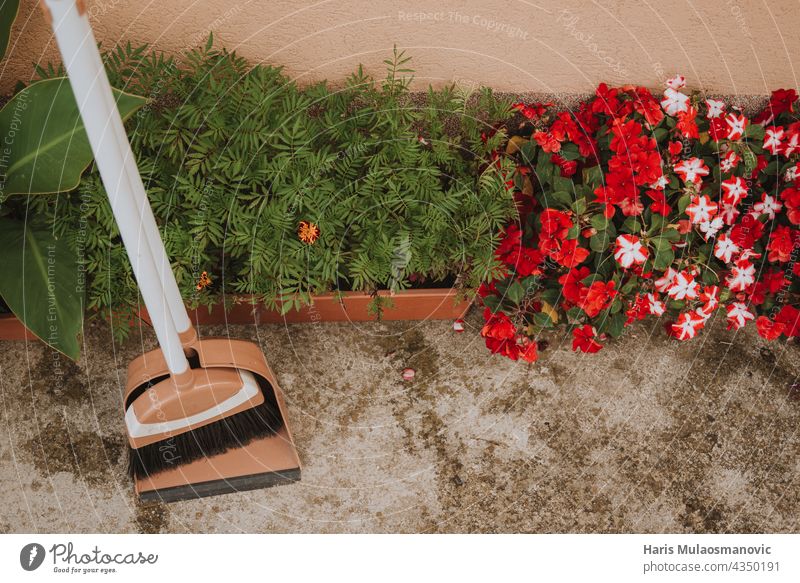 Garden broom in front of the house with flower pots Agriculture background pretty Beauty & Beauty Bright Broom Broomstick Cleaning Colour Landscape cultivate