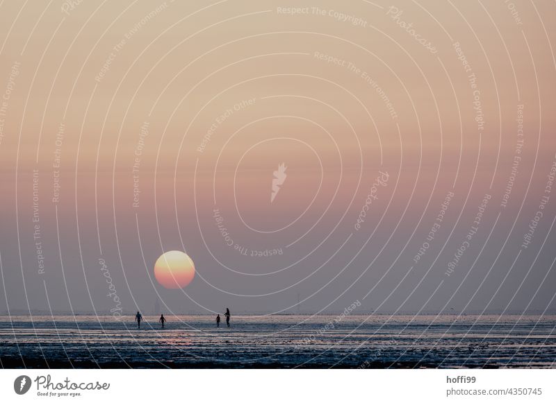 Sunset in the Wadden Sea - nice and calm and relaxed Mud flats North Sea Walk along the tideland Tide Sunrise coast Sunlight Beach life Maritime