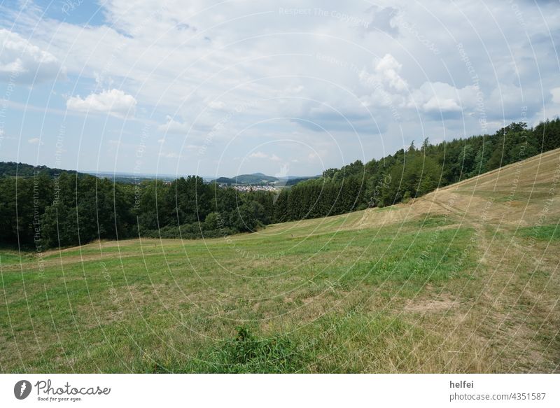 Green meadow with forest and mountains in background under blue light cloudy sky Meadow Forest Clouds Landscape Nature Sky Grass Mountain Green space Idyll