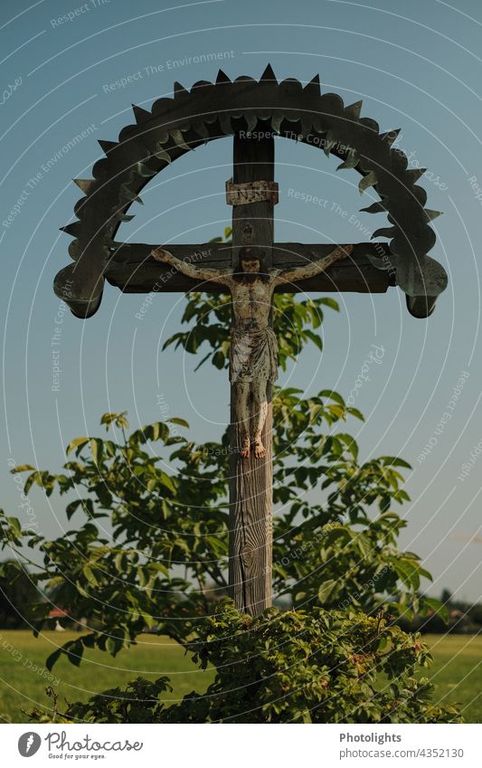 Cross / wayside cross with representation of the crucified Christ Wegekreuz Crossroads Jesus Jesus Christ Wood Crucifix Plant Green Colour photo