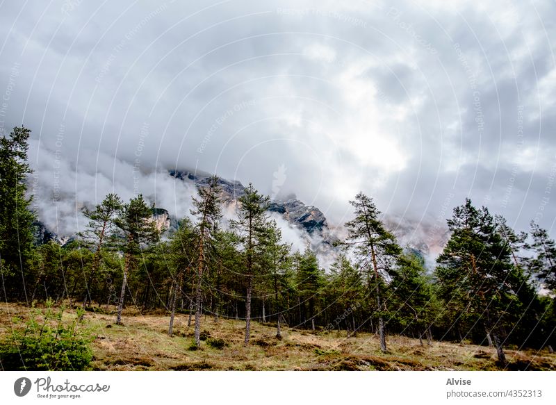 2021 05 15 Cortina pines rocks and clouds mountain peak nature sky landscape travel italy view alpine blue valley sunset italian dolomites alps green tourism