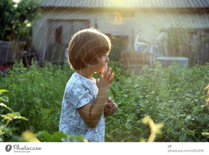 profile of a boy  walking in the garden and looking forward Education To enjoy Optimism Religion and faith Connection Positive Innocent Playful showing park