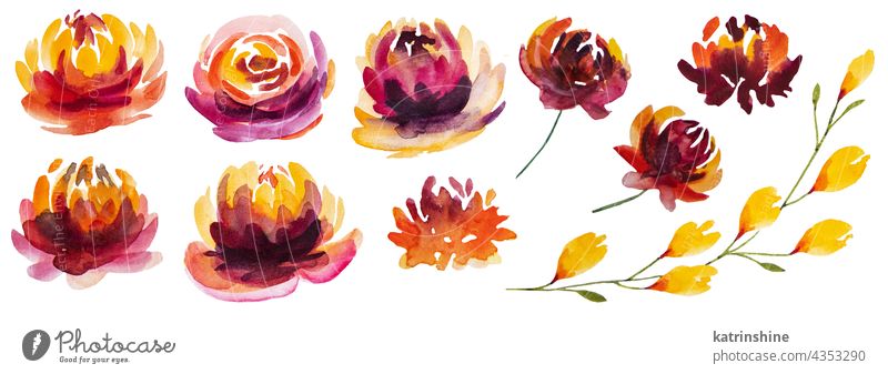 Autumn Watercolor collection with yellow, orange and red flowers Autumnal Botany Collection Isolated Nature Oak October Plant Season Seasonal September Set